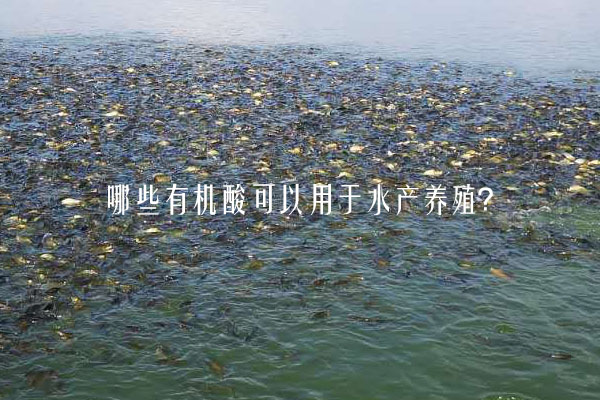 哪些有機酸可以用于水產(chǎn)養(yǎng)殖?