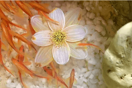 樹脂畫，滲透劑