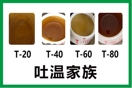 吐溫家族